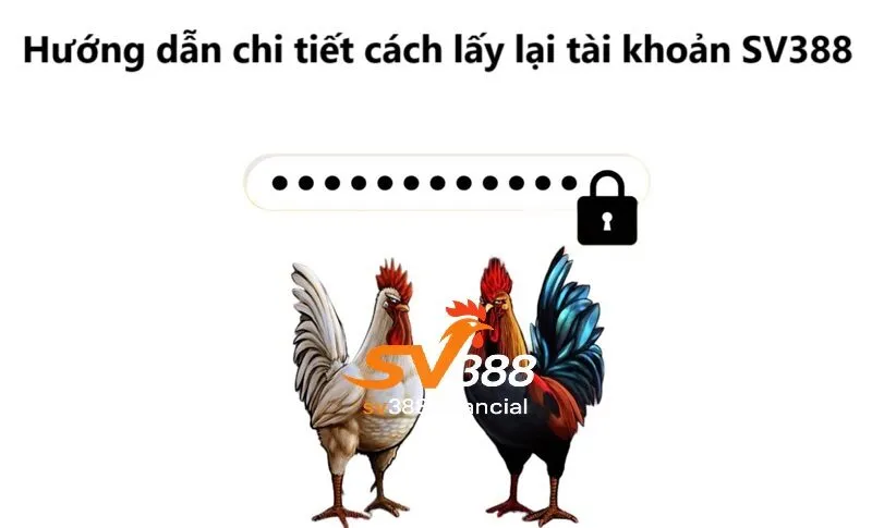 Hướng dẫn chi tiết cách lấy lại tài khoản SV388