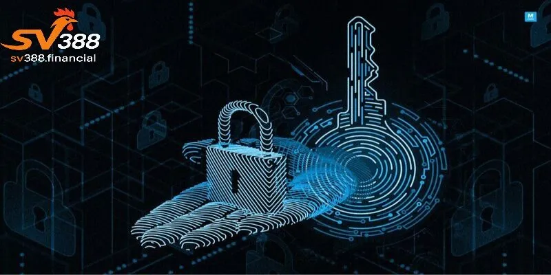 Những lợi ích khi tuân thủ bảo mật quyền riêng tư 