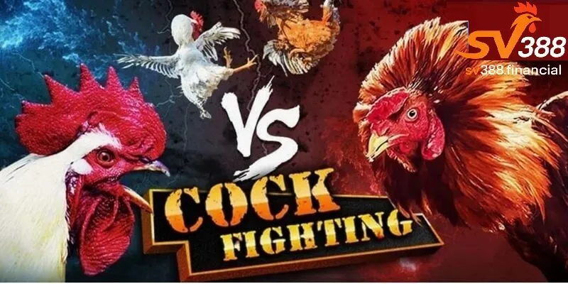 Ưu điểm khiến người chơi mê mẩn tại SV388